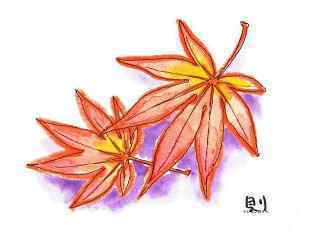 0-76-18-momiji-ill-ms-web.jpg