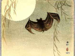 0-76-22-moon-koumori-oharakoson-gazou-web.jpg