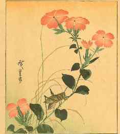 0-76-50-nadeshiko-gazou-web.jpg