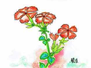 0-76-50-nadeshiko-ill-web1.jpg