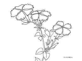 0-76-50-nadeshiko-sen-web.jpg