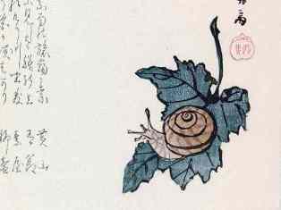 0-76-58-snail-ukiyoe-gazou-web.jpg