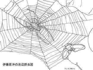 0-76-65-spider-moth-sen-web.jpg