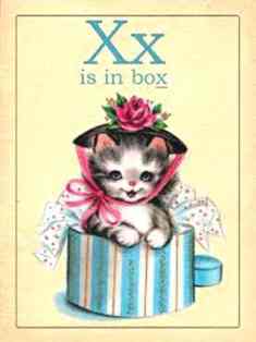 0-76-76-x-box-cat-gazou-web.jpg