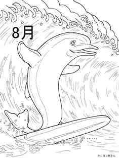 0-76-95-8gatsu-dolphin-sen-web.jpg