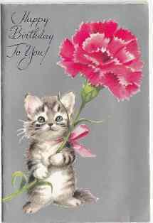 0-77-16-cat-carnation-gazou-web.jpg