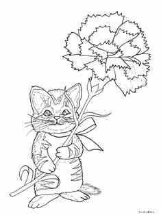 0-77-16-cat-carnation-sen-web.jpg