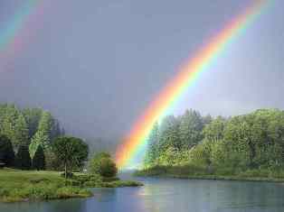 0-77-22-rainbow-forest-gazou-web.jpg