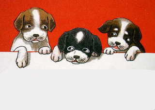 0-78-20-3-dogs-2-nenga.jpg