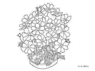 0-78-32-cosmos-hachi-sen-web.jpg