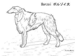 0-78-76-borzoi-dog-sen-web.jpg