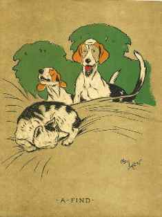 0-79-05-cecil-dog-cat-gazou-web.jpg