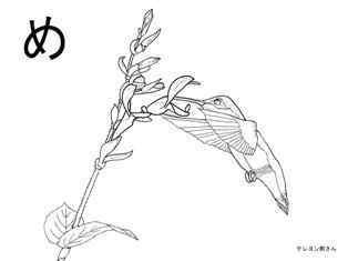 0-79-06-medou-sage-sen-web.jpg