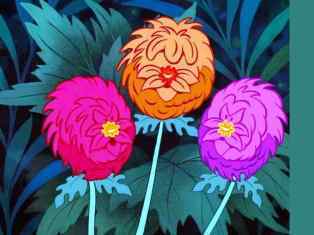 0-79-07-anemone-gazou-web.jpg