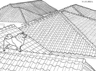 0-79-64-roofs-dog-sen-web.jpg