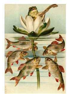 0-79-70-pond-flogl-gazou-web.jpg