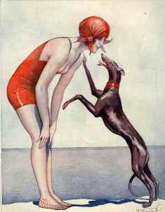 0-79-78-2018-dog-gazou-web.jpg
