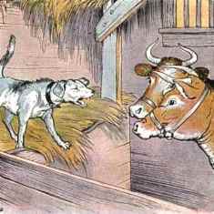 0-85-53-dog-cow-gazou-web.jpg