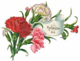 0-85-62-mother-day-gazou-web.jpg