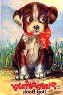 0-85-98-dog-gazou-web3.jpg