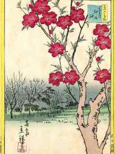 0-86-17-36kasen-momo-gazou-web.jpg
