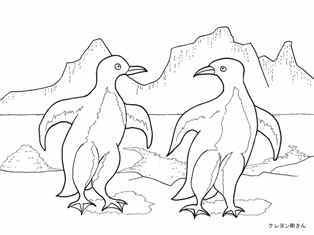 0-86-41-penguin-sen-web.jpg