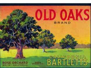 0-86-50-old-oaks-gazou-web.jpg