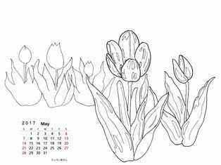 0-87-01-tulip-calendar-sen-calendar-web.jpg