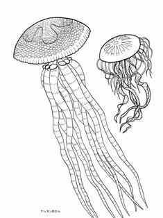 0-92-31-jellyfish-sen-web.jpg