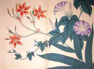 0-92-53-hiougiayame-gazou-web.jpg