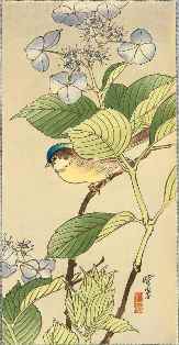 0-92-69-aisai-bird-gazou-web.jpg