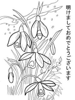0-93-37-snowdorp-sen-nenga-web.jpg