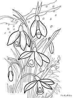 0-93-37-snowdorp-sen-web.jpg