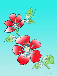 0-94-34-hibiscas-sen-photoshop-web.jpg
