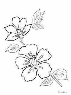 0-94-34-hibiscas-sen-web.jpg
