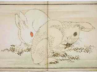 0-94-34-usagi-gazou-web2.jpg