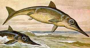 0-94-50-ichthyosaurs-gazou-web.jpg