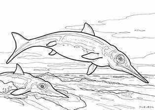 0-94-50-ichthyosaurs-sen-web.jpg