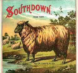 0-95-84-southdown-gazou-web.jpg