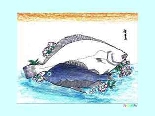 0-97-63-hirame-kp-web.jpg