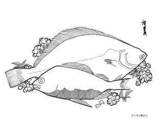 0-97-63-hirame-sen-web.jpg