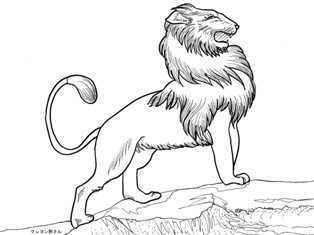 0-97-80-lion-sen-web.jpg