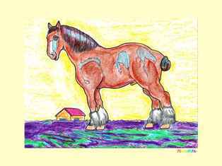 0-97-84-horse-kp-web.jpg