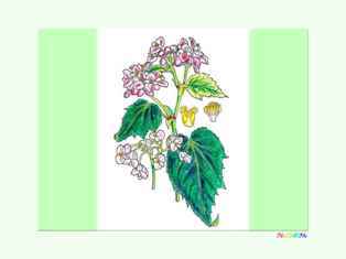 0-99-03-shukaidou-kp-web.jpg
