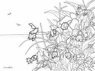 0-99-50-flower-sen-web.jpg
