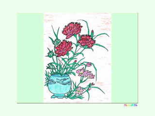 1-0-77-carnation-kp.jpg