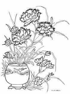 1-0-77-carnation-sen-web.jpg