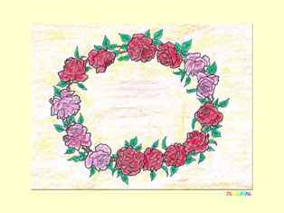 1-0-79-rose-kp-web.jpg
