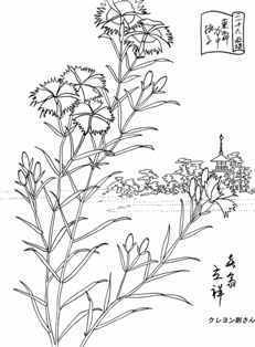 1-1-33-nadeshiko-sen-web.jpg
