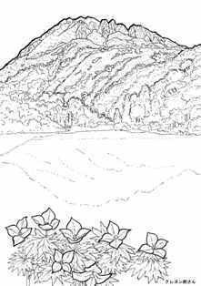 1-1-33-shiraneaoi-sen-web.jpg